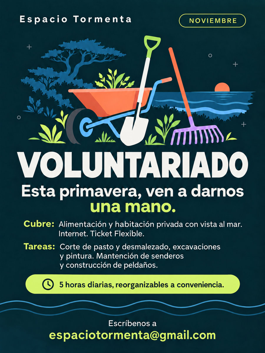 Afiche de la convocatoria «Voluntariado en Tormenta».